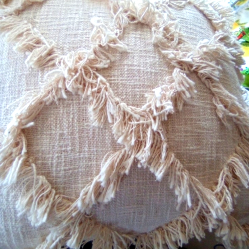 20 x 20 Ivory throw pillow